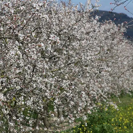 155 Son Rossignol By Mallorca Charme * Sineu (Mallorca)