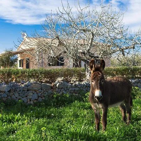 155 Son Rossignol By Mallorca Charme